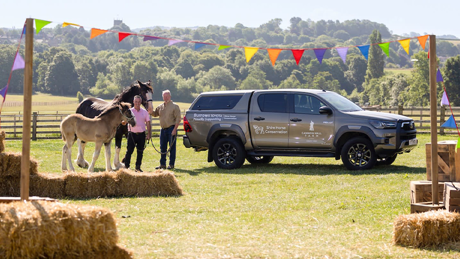 Toyota Trucks and Horse Trailers... they go together!
Here is your Kentucky Derby Guide! 
loom.ly/mUhxWG8

 #fastfairfriendly #lugofftoyota #servicematters #toyotanation #columbiatoyota #toyotalife #toyotacare #toyotaclub #letsgoplaces #toyotalove