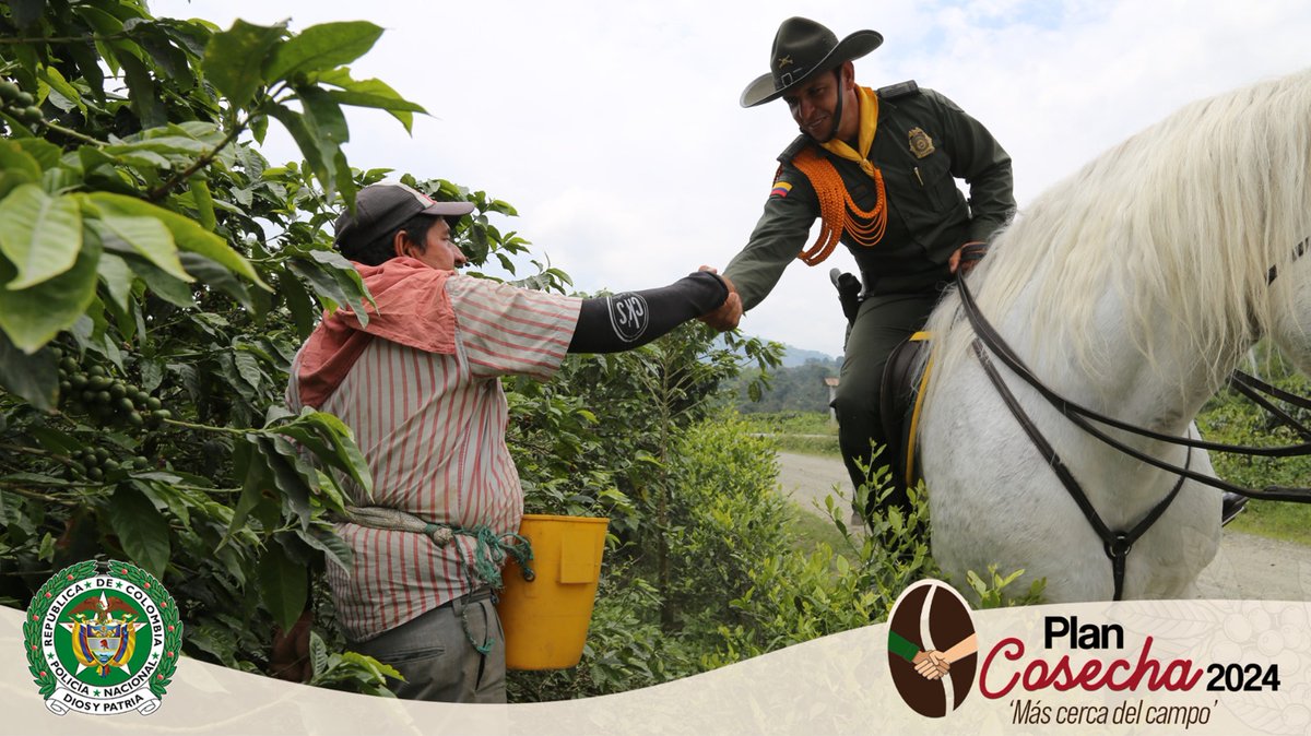 ¡La fuerza detrás del café! 🌟👮 En la traviesa cafetera, los @PoliciaColombia  en #Caldas, visitan las fincas cafeteras y garantizan la seguridad de los  caficultores, asegurando que cada taza de café tenga un sabor de seguridad y compromiso. ¡Gracias por su incansable labor! ☕️