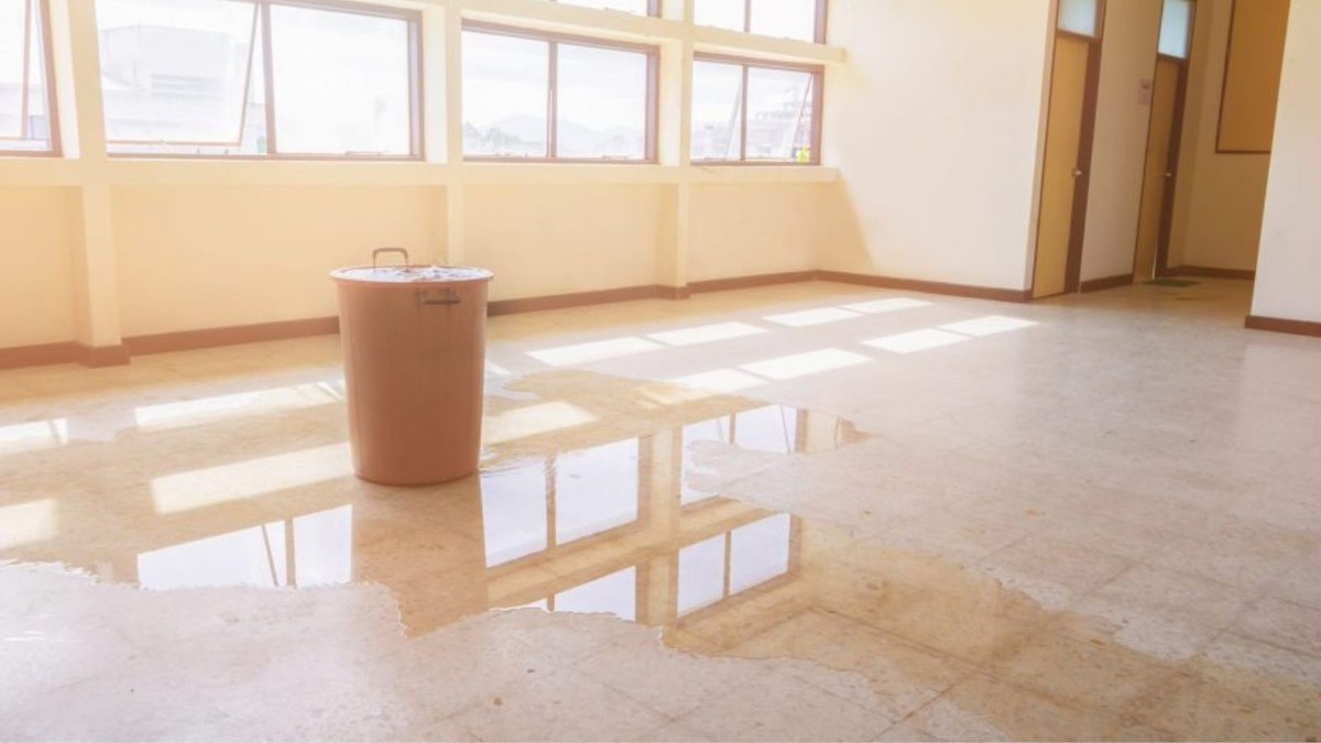 Commercial Water  Mitigation

Commercial water mitigation swiftly addresses water damage in commercial properties, minimizing disruption and restoring normal operations.

Click here:- sswaterrestoration.com/office-buildin…

#CommercialWaterMitigation #BuildingMaintenance #sswaterrestoration