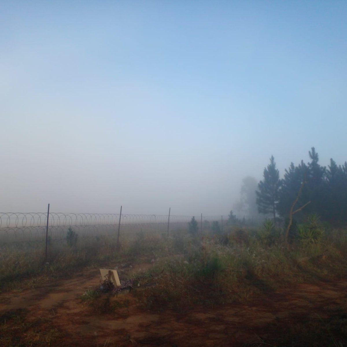Misty morning. Pre-event course check at #vryheidparkrun today #loveparkrun