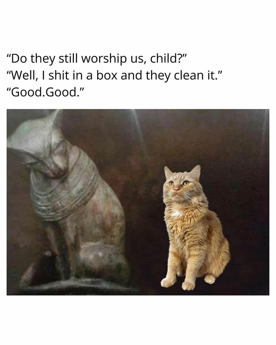 Ancient cats would be proud of us! 👏