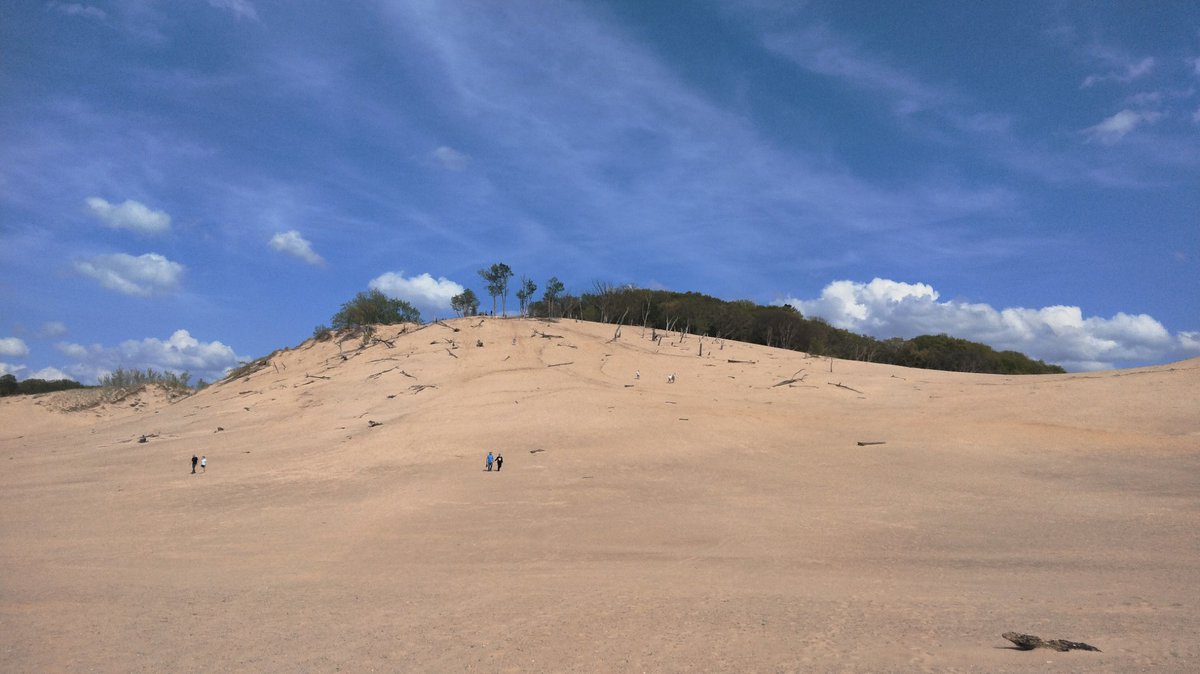 It's been about 3 or 4 years since I climbed one this big.. wonder if I still got it in me ? .. my son can't do it anymore and refuses so now only when I'm alone can I attempt to achieve #sanddunes #lakemichigan #puremichigan