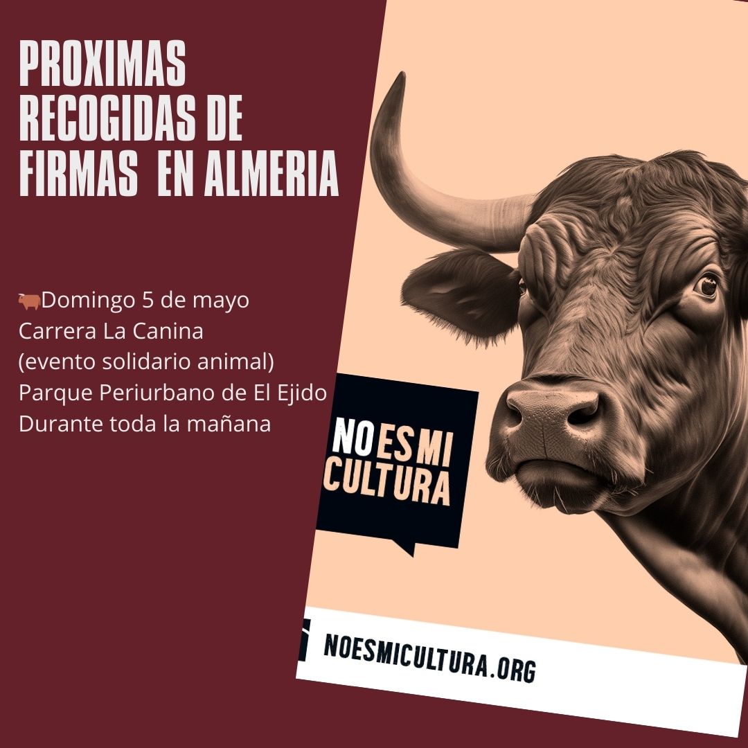 Mañana, domingo 5 de mayo, #DíaDeLaMadre, estaremos en la carrera La Canina en El Ejido, #Almería, recogiendo firmas para la ILP #NoEsMiCultura . Los toros también tienen madre. ¿Te imaginas que viera todo lo que le hacen a su hijo? #TauromaquiaEsViolencia