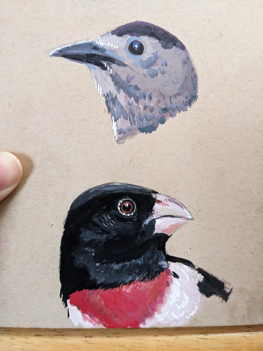 I might just fill this sketchbook up with birds