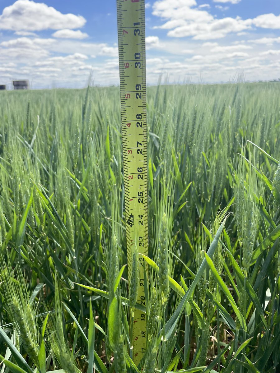 Cascade Commodity Consulting, LLC tweet media