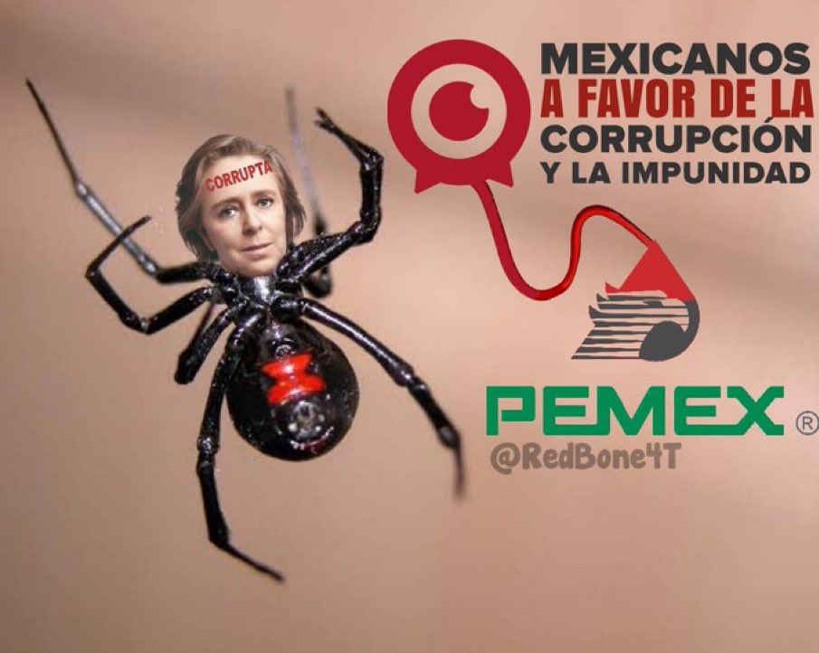 @El_Universal_Mx RESUMEN #AmparoCasarCorrupta DEL PRIAN