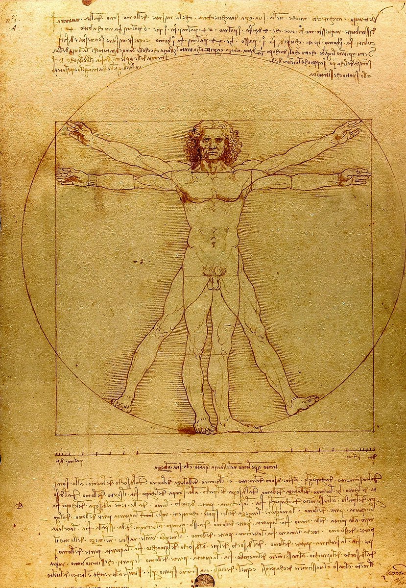 The Vitruvian Man (c. 1485). Accademia, Venice - Leonardo da Vinci