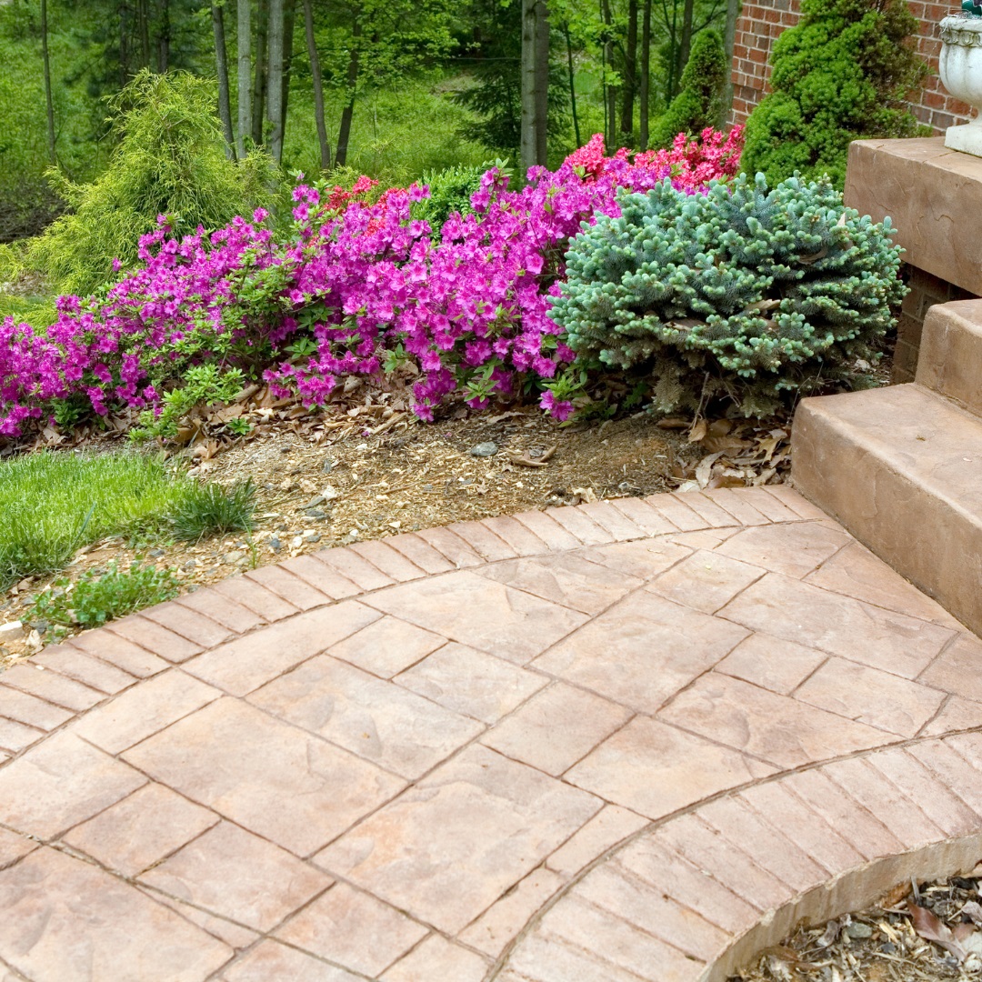 If you are looking to add some hardscaping to your yard on a budget, consider stamped concrete. There are many designs and colors to choose!