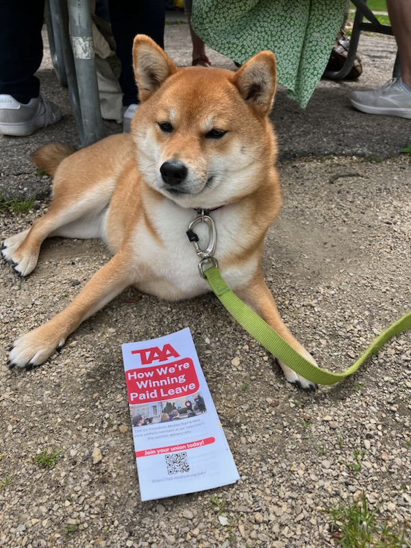 taa 🤝ufas picnic for paid leave! #unionDoge