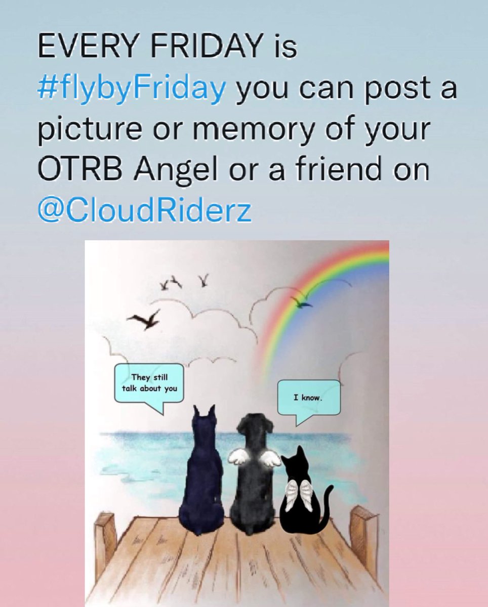 #OTLFP 
Every Friday is a great time to remember a pal who has gone OTRB with a #FlyByFriday post on @CloudRiderz 💔🌈