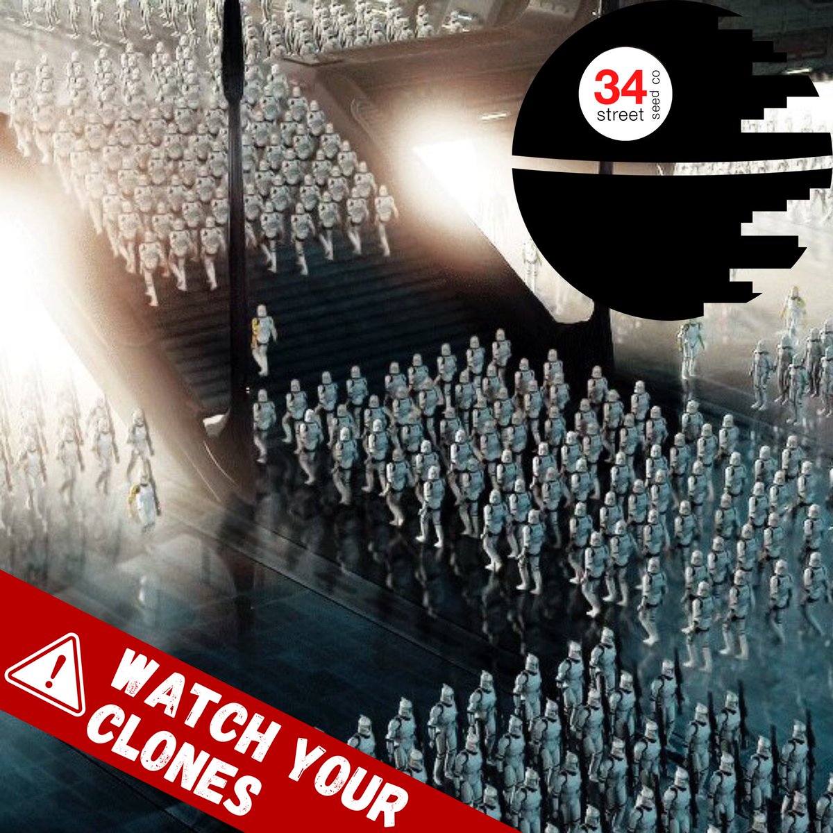 Happy May the 4th Growmies! Make sure to keep your eyes on your clones, you never know when they’ll try execute Order 66! Have you ever tried to clone your own plants?