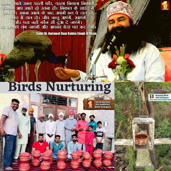 Birds make the environment beautiful. To 'Save Birds', water and grains are kept for birds on pillars, parks and on their umbrellas in cities and states under the #BirdsNurturing campaign by the followers of Dera Sacha Sauda under the guidance of Saint Ram Rahim ji.