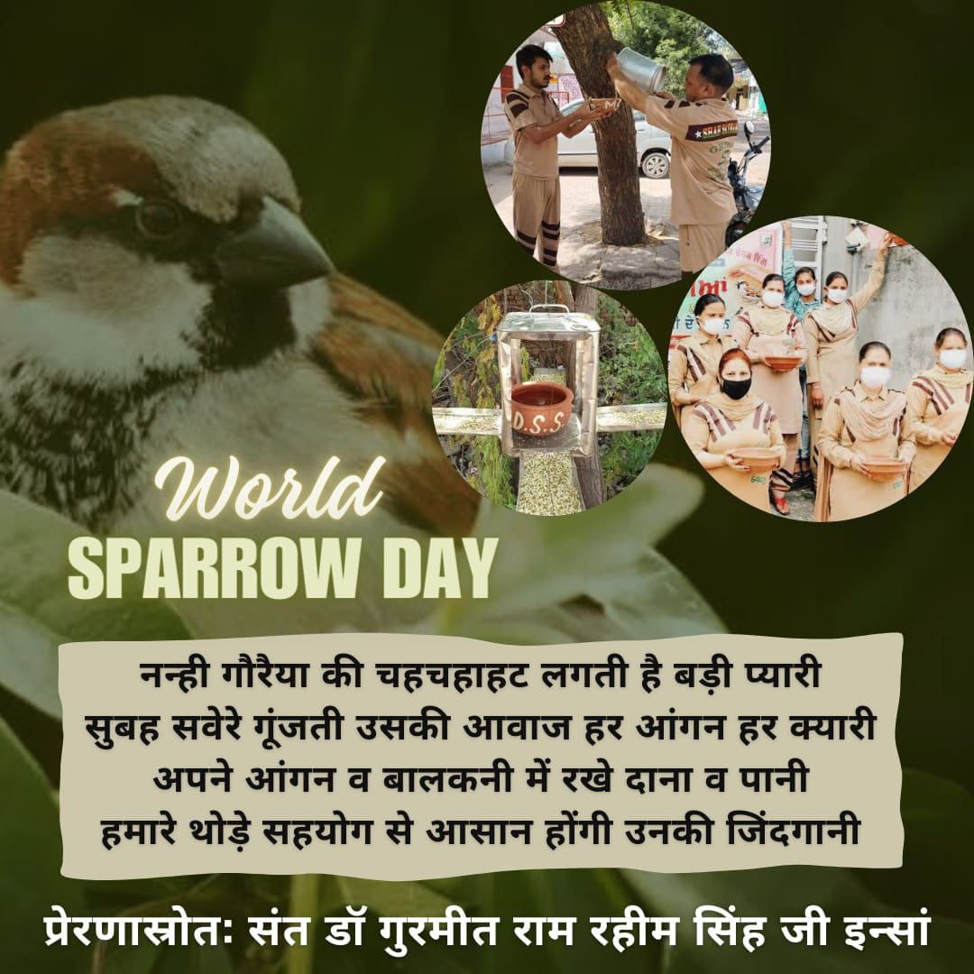 Don't you think that as human beings we have some responsibilities towards birds? To Save Birds, water pots and bird feeders have been placed on rooftops, cities and places under the #BirdsNurturing campaign by the followers of DSS under the guidance of Saint Ram Rahim Ji.