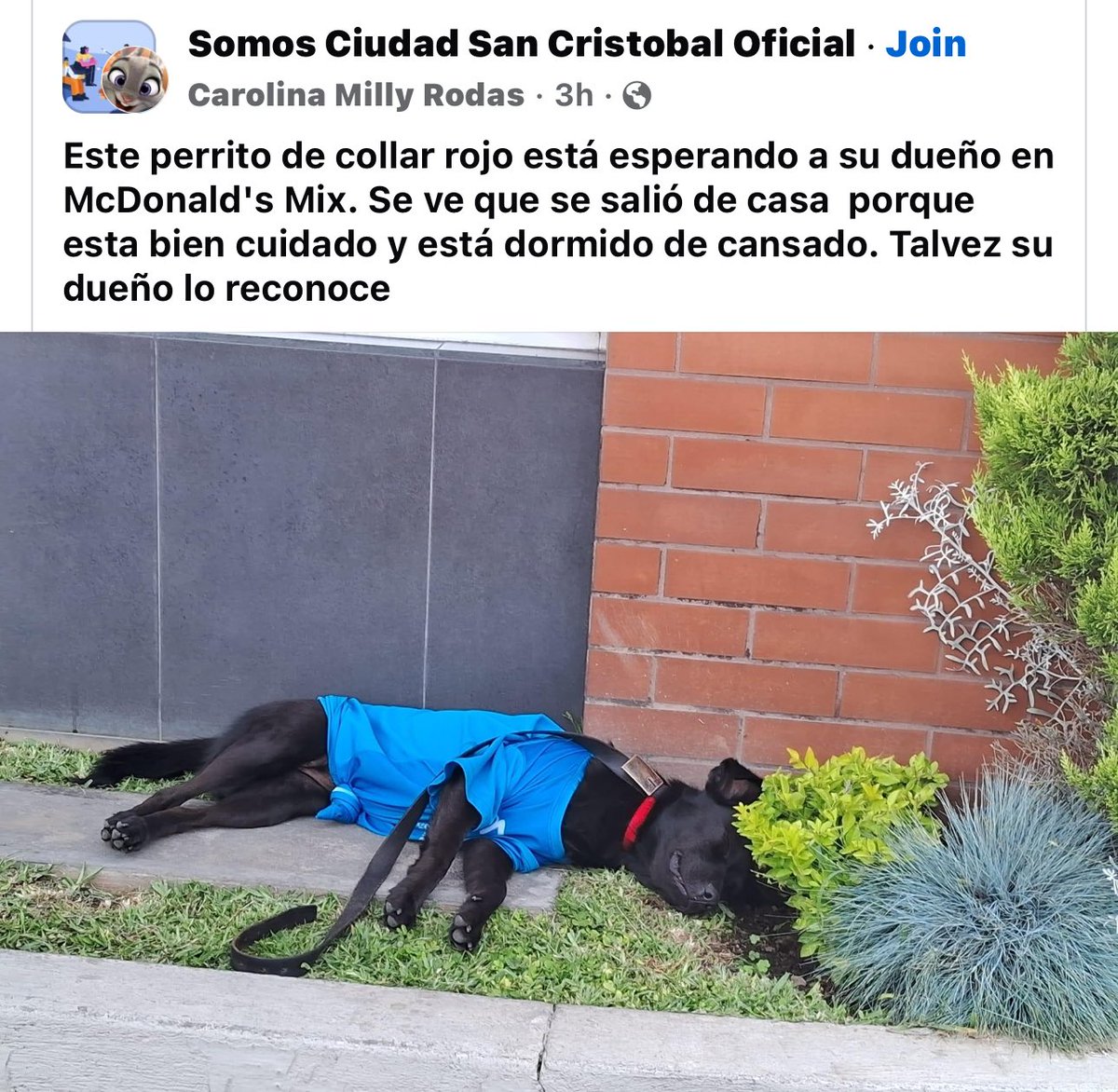 RT Ciudad San Cristobal por favor