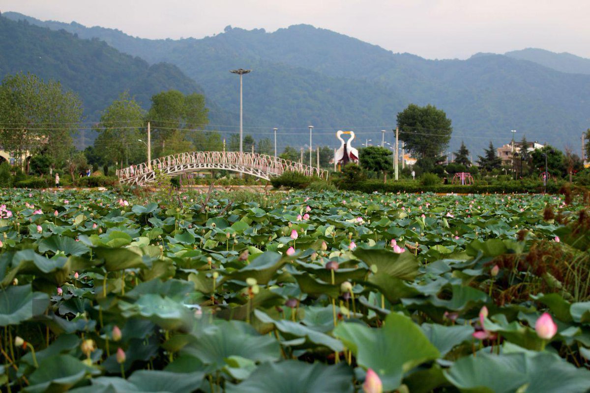 Kiakolayeh Lagoon, Gilan Province          
          
#IranInReality