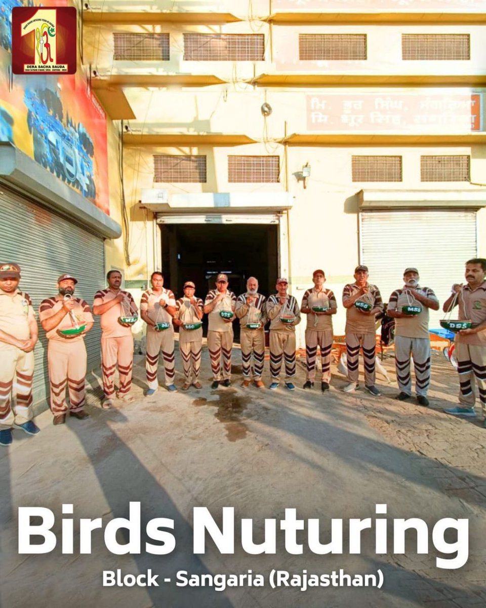 Under the guidance of Saint Ram Rahim ji, his volunteers keep food and water on the roofs of their houses for the ageless birds during the summer season so that they can quench their hunger and thirst.
#BirdsNurturing