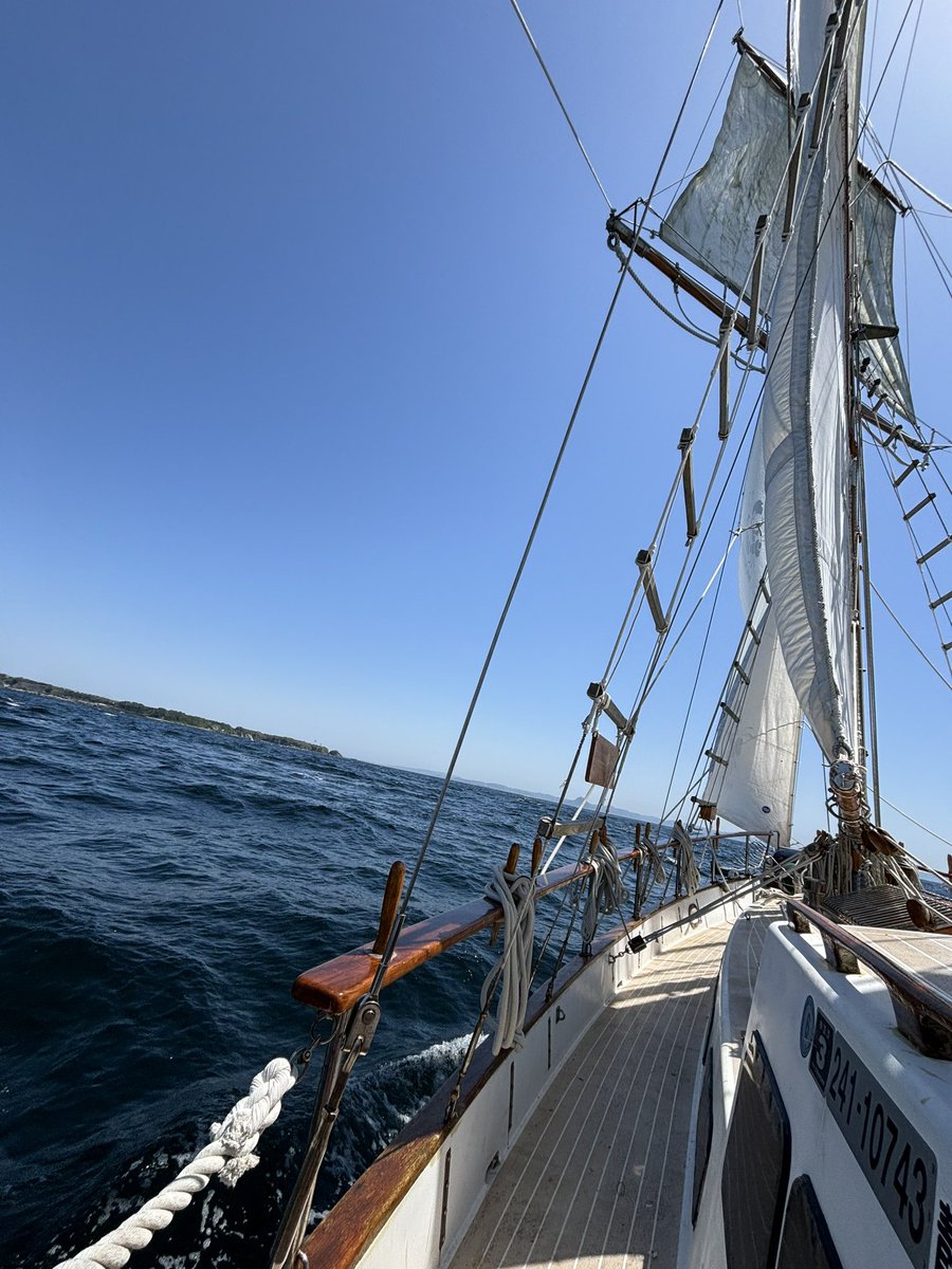 横浜ベイサイドマリーナ向かっています

フルセールで東京湾突入⛵️
schooner-ami.com
#帆船Ami #帆船Ami号  #yacht #sailtraining #sailingadventure
Book Your Trip and Go Sailing.
#酔っぱらいシェリー酒の旅