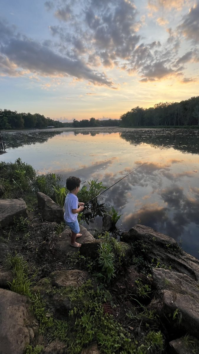 Musa A. Sharkawi tweet media