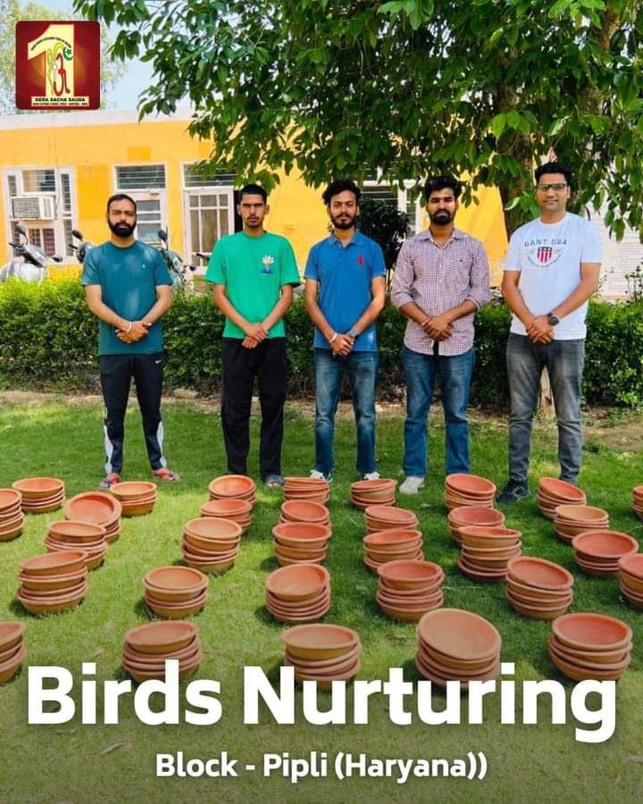 The summer season many birds lose their lives wandering in search of water and food. An initiative birds nurturing was started by DSS for the birds. with the inspiration of Saint Ram Rahim Ji,lakhs of keep water, grains on the roof of their houses. 
#BirdsNurturing 
Save Birds
