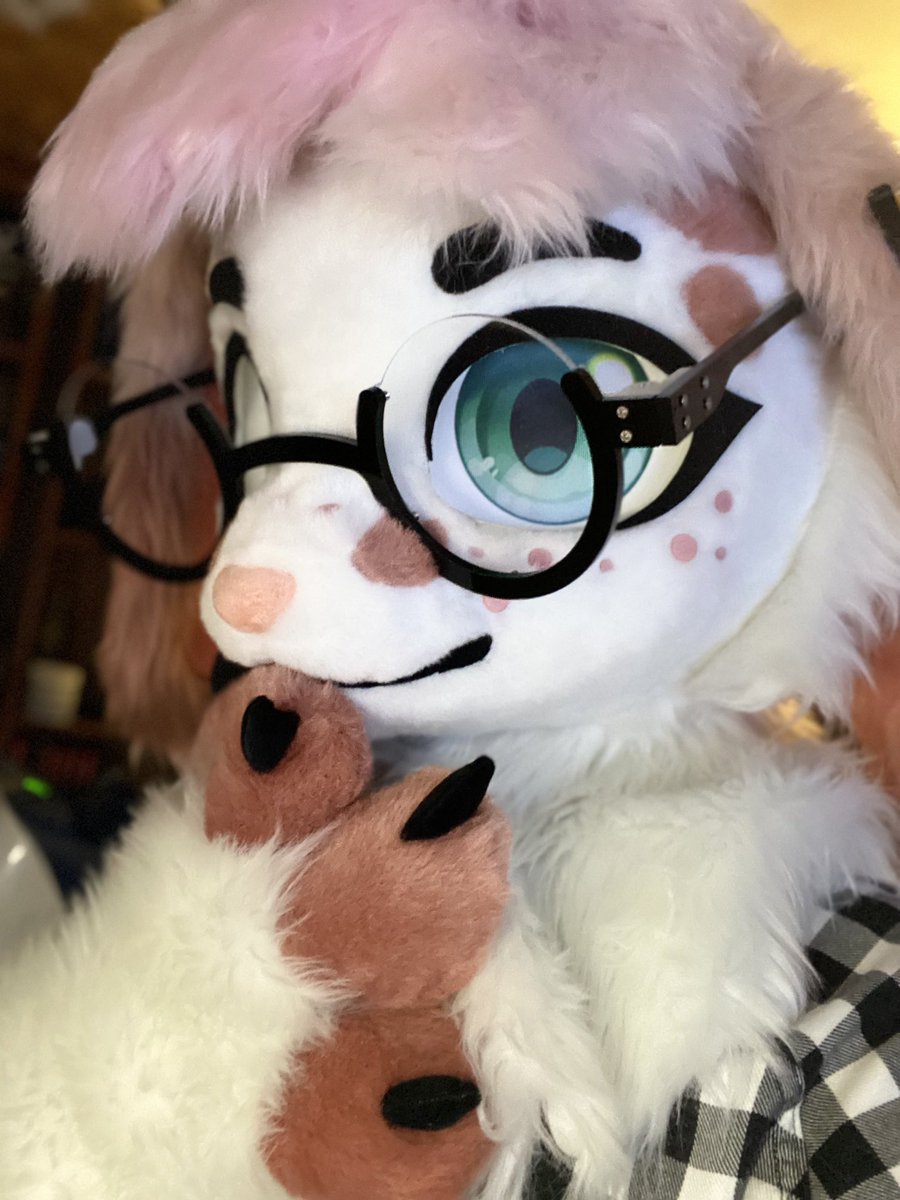 🌺Remi🌺 🔜 Furpoc, ANE tweet media