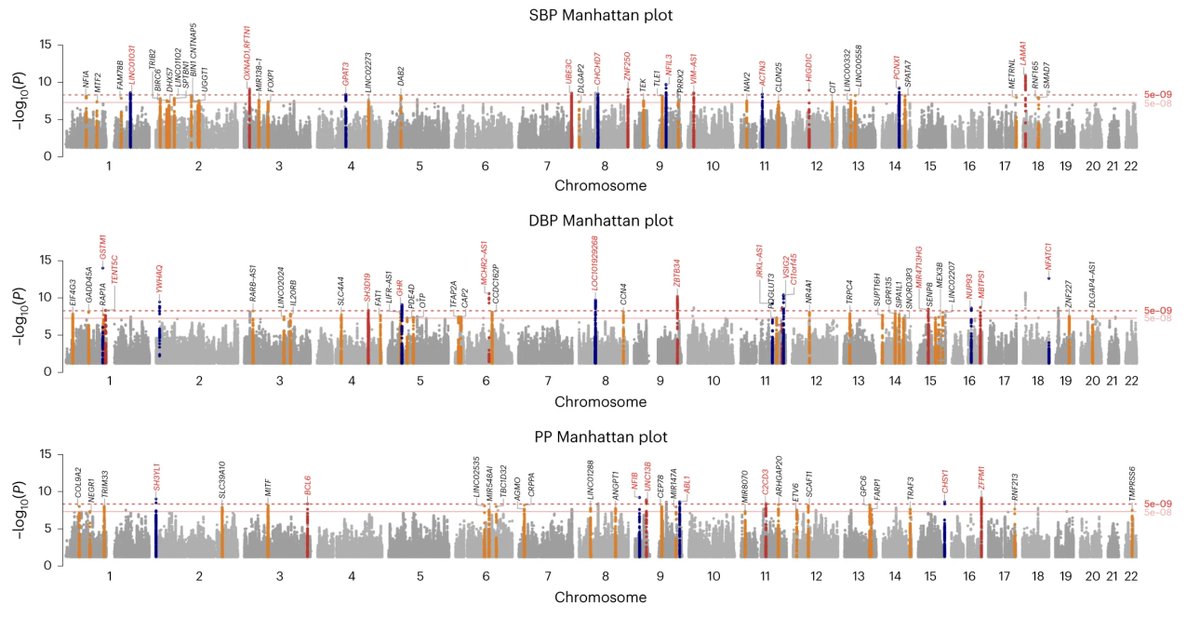 I was starting at this Manhattan plot for some time trying to make sense of it. The peaks looked weird for a GWAS of a quantitative trait (blood pressure) in >1 million participants. Then realized that the authors removed all the known signal and plotted only the novel ones.