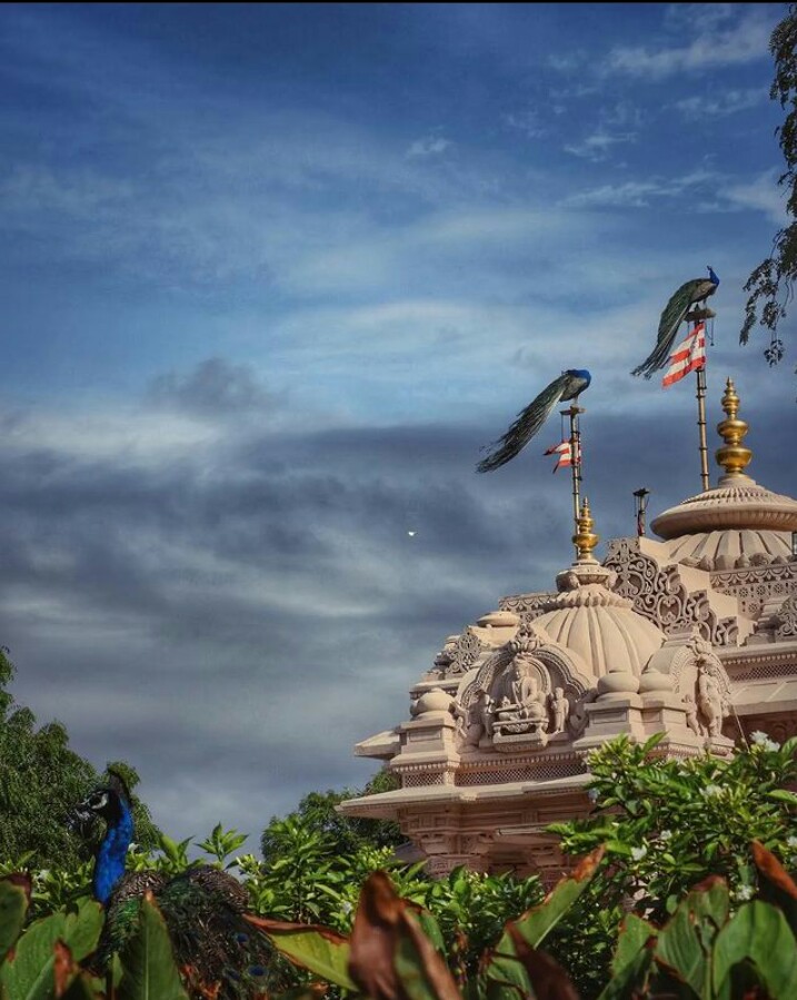 11. Swaminarayan Temple, Sarangpur