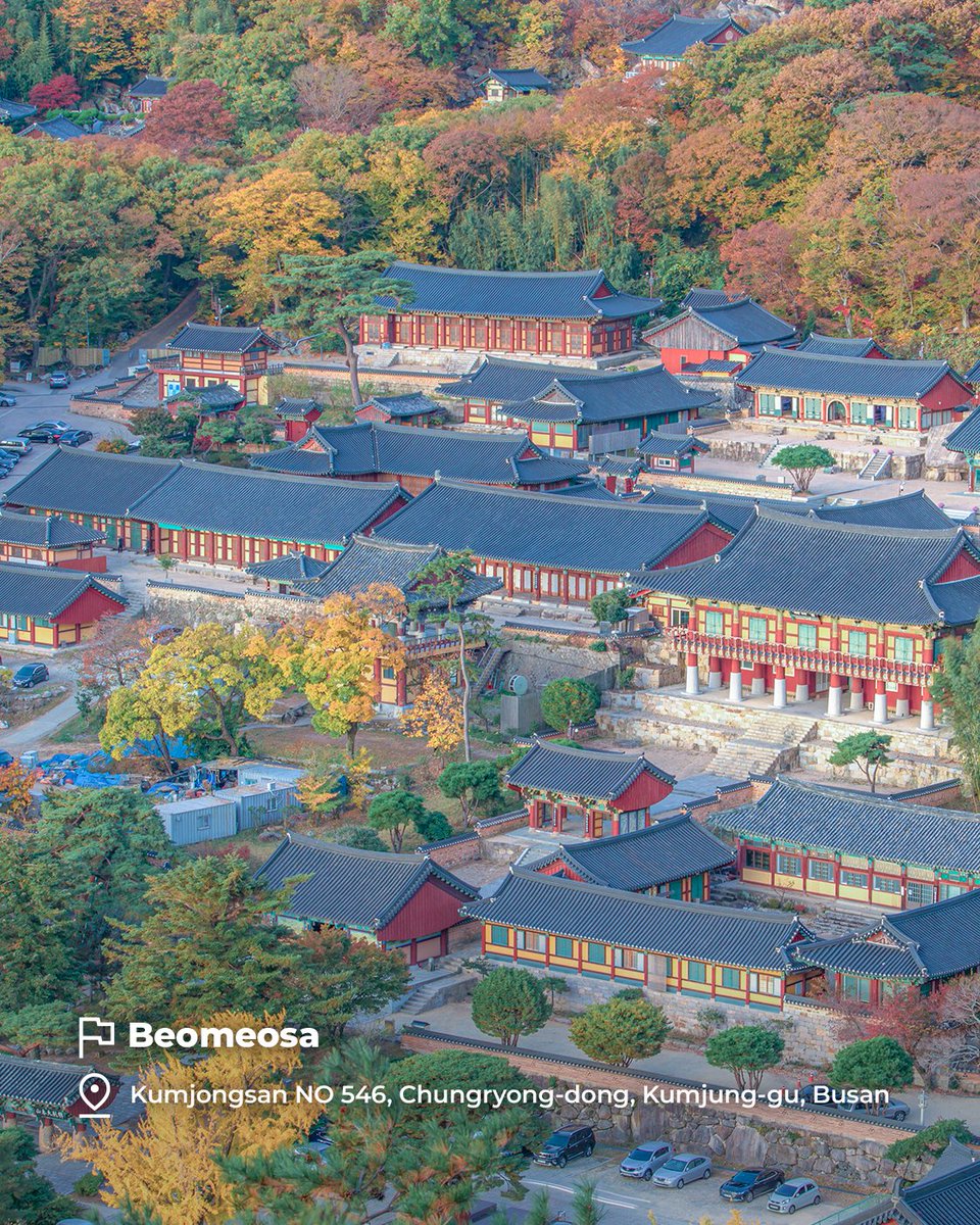 🚩Beomeosa Temple in Busan: bomunsa.me
🚩Tongdosa Temple in Yangsan: tongdosa.or.kr
🚩Songgwangsa Temple in Suncheon: songgwangsa.org
🚩Hwaeomsa Temple in Gurye: hwaeomsa.or.kr
🚩Haeinsa Temple in Hapcheon: haeinsa.or.kr