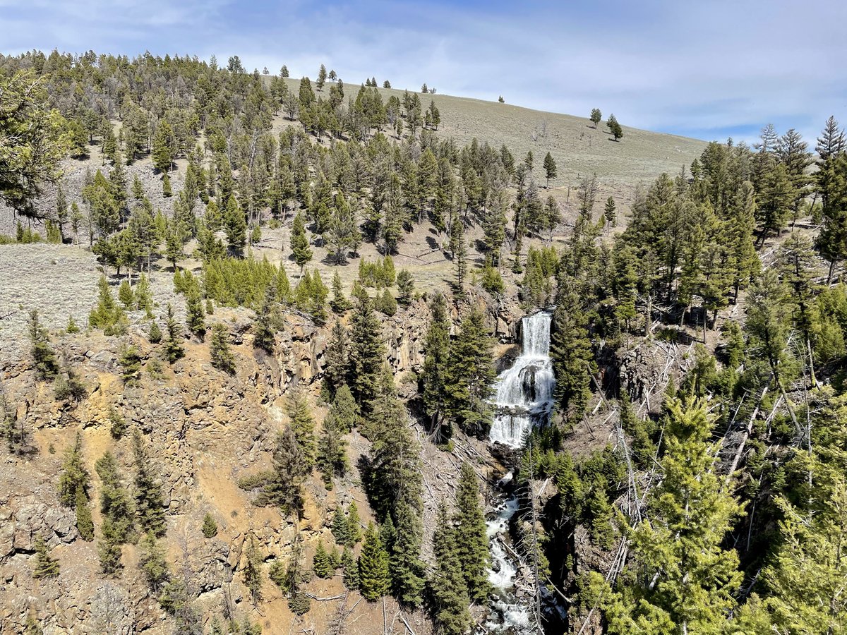 Today’s view of Undine Falls in Yellowstone National Park.