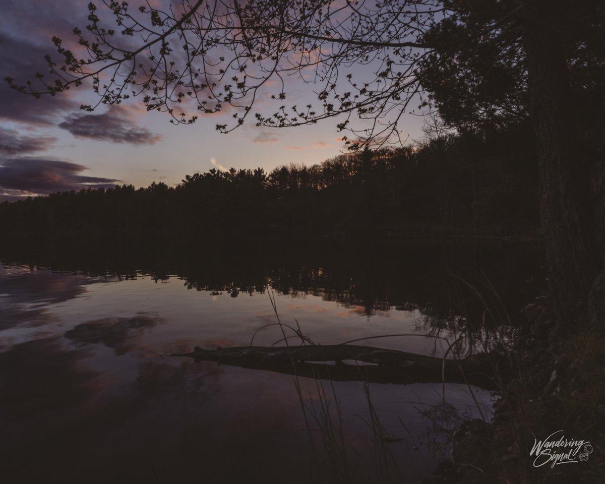 Finally visited Frontenac Provincial Park for my first backcountry camping of the year
@Frontenacpark @FrontenacPP