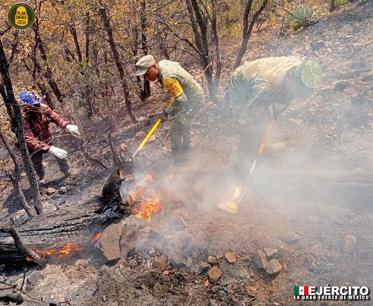 ¡Tu seguridad, es nuestra misión! 🚨🔥 Continuamos aplicando el #PlanDNIIIE en su fase de #Auxilio durante la sofocación de un incendio forestal. #SiemprePorTi #SiemprePorMéxico #EjércitoMexicano