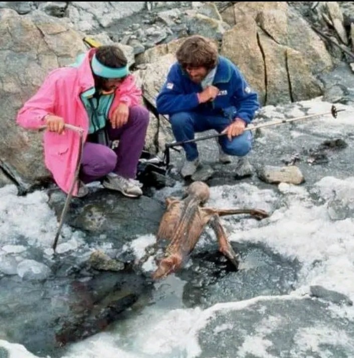In 1991, German hikers discovered a 5,300-year-old murder victim in the Austrian Alps. Despite the ancient age of the body, it was better preserved than recent murder victims, thanks to being frozen in a glacier, allowing researchers to continue studying him even 31 years later.