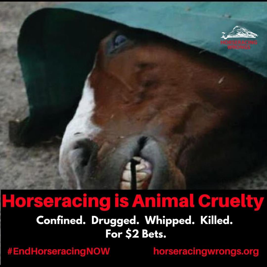 #endhorseracing
#vigil4horses
#KentuckyDerby