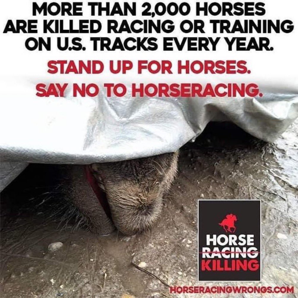 Killing horses for gambling and entertainment for 150 years‼️

#KyDerby #KYDerby150 #EndHorseracing