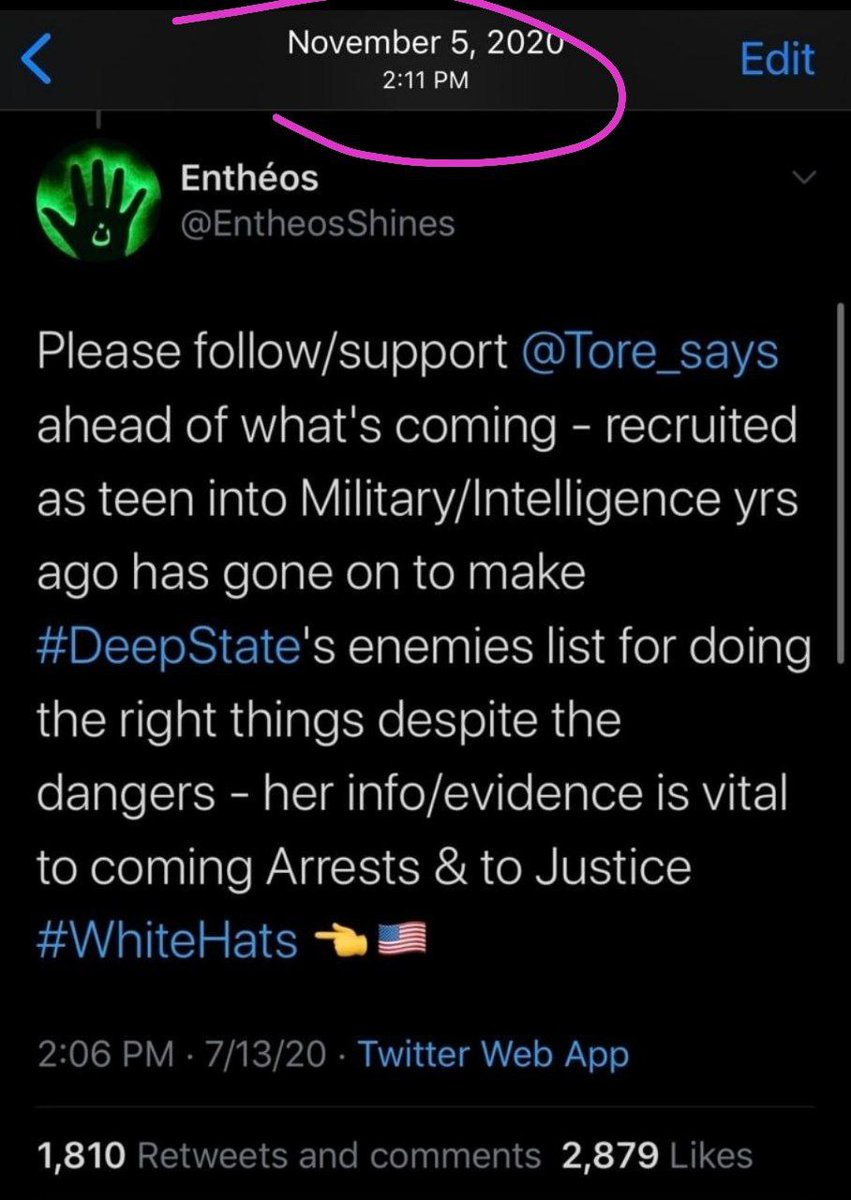 @gohnallin 💯Here's what @Entheosshines @ENTHEOS said abt her prior to going dark back in 2020.  Tore_Says was one of her accts. her on X/Twitter b4 the purge.