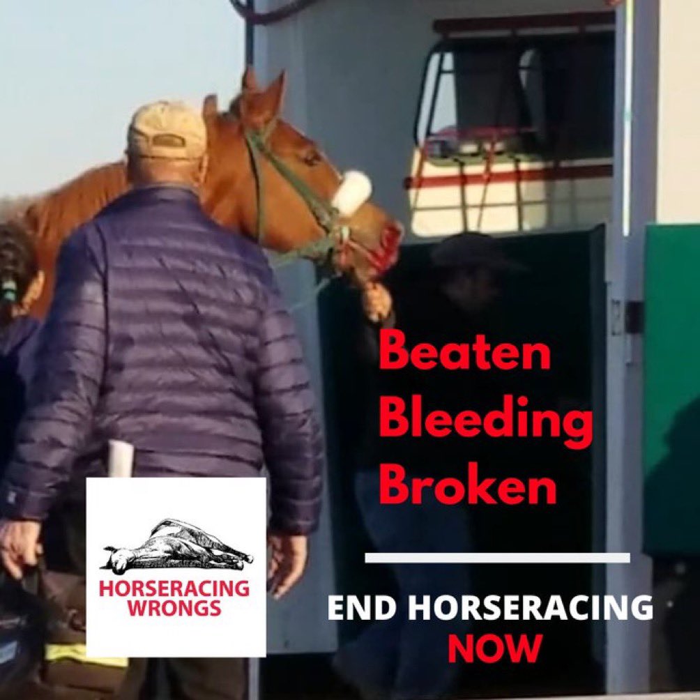 This is Horseracing. This is the #KyDerby #endhorseracing