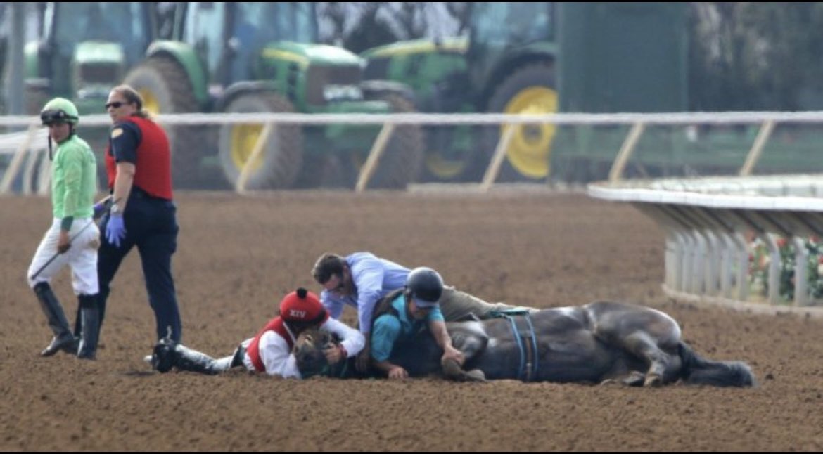 🚨In what other sport are the athletes routinely dying on the playing field? Over 2,000 a YEAR! #EndHorseracing #KYDerby #KYDerby2024 #KentuckyDerby #KentuckyDerby150 #HorseracingKillsHorses 
❌🏇❌🏇🚫🏇🚫🏇🛑🏇🛑🏇💔