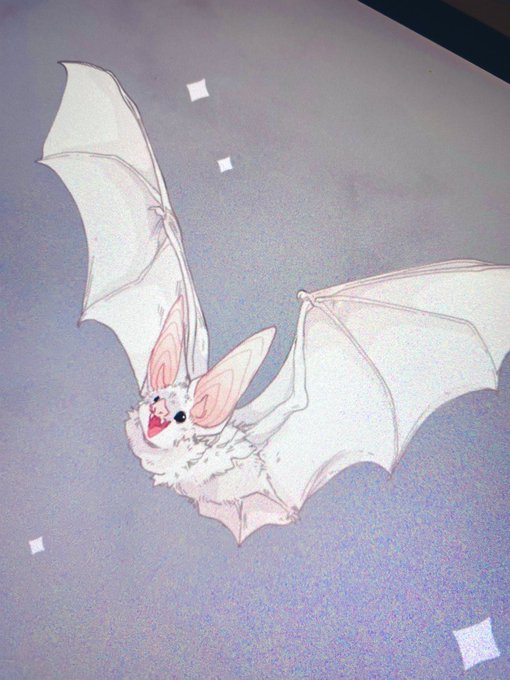 「bat (animal)」 illustration images(Latest｜RT&Fav:50)