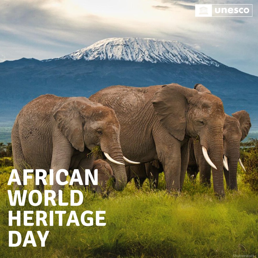 The future of our shared heritage includes the future of #WorldHeritage in Africa!

On African World Heritage Day, learn more about @‌UNESCO’s work to safeguard our irreplaceable heritage in Africa!

whc.unesco.org/en/news/2685/ #ProtectHeritage