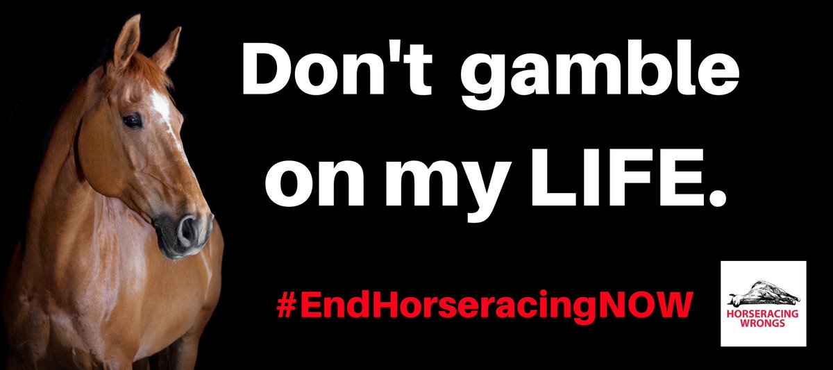 Horses are abused and killed for your $2 bet. 

#KYDerby #EndHorseracing