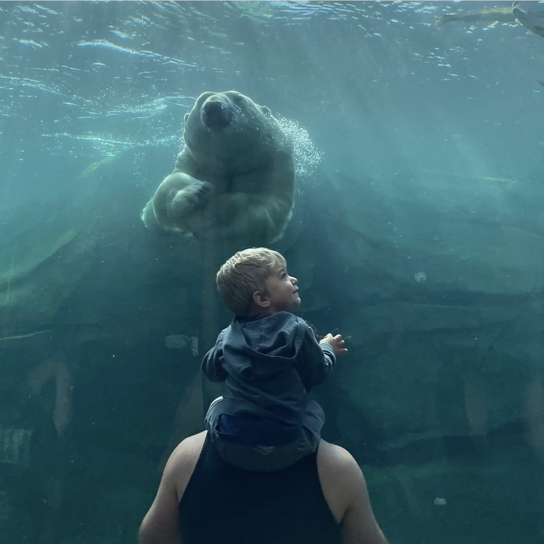 You won't fur-get a trip to the zoo this #SpringinOhio. It's on our list of the beary best things to do this season! 🐻 ohio.org/24SpringThings 📍: @columbuszoo 📸: @traveling_glossers