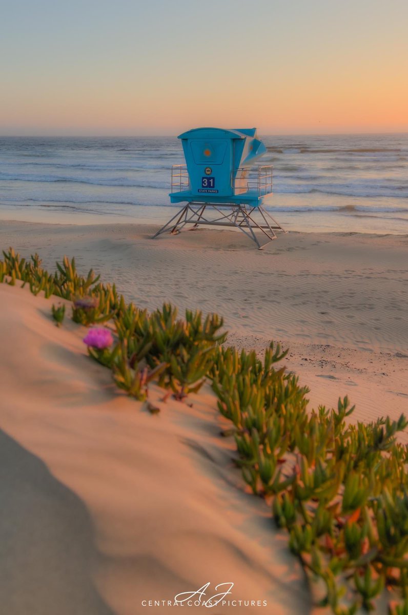 Oceano/Pismo State Beach #centralcoastpictures #centralcoast #Califonia #beachphotography #pismobeach #oceano