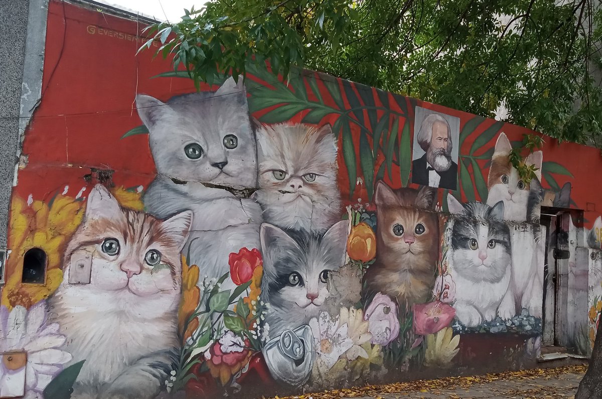 arqueoschein's tweet image. Gatos y flores marxistas, Villa Crespo, Buenos Aires, Argentina.