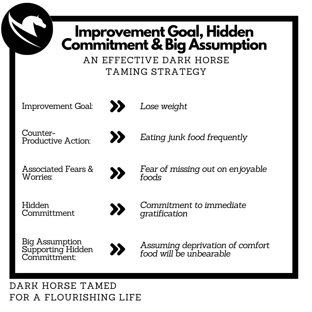 In this series, we will explore the power of Immunity to Change, a system created by Robert Kegan and Lisa Lahey of Minds at Work. Confront your big assumptions, and tame the force that veers you off from your goals – your DARK HORSE. #GettingThingsDone #Motivation  #LifeHacks