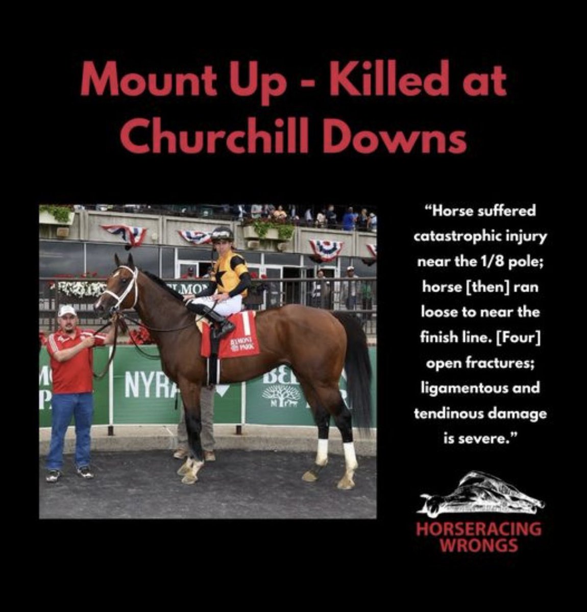 🕯️🐴💔The home of the 'world-renowned' #KentuckyDerby is cruelty, abuse, & death. This is #HorseRacing #KYDerby2024 #KyDerby #EndHorseracing #KentuckyDerby150 #HorseracingKillsHorses ❌🏇❌
horseracingwrongs.org/2024/03/19/2-y…