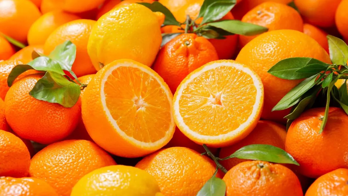 Il a fallut de très nombreuses hybridations de plusieurs espèces d’oranges douces, très acides, non comestibles, pour aboutir aux oranges que nous connaissons aujourd’hui.