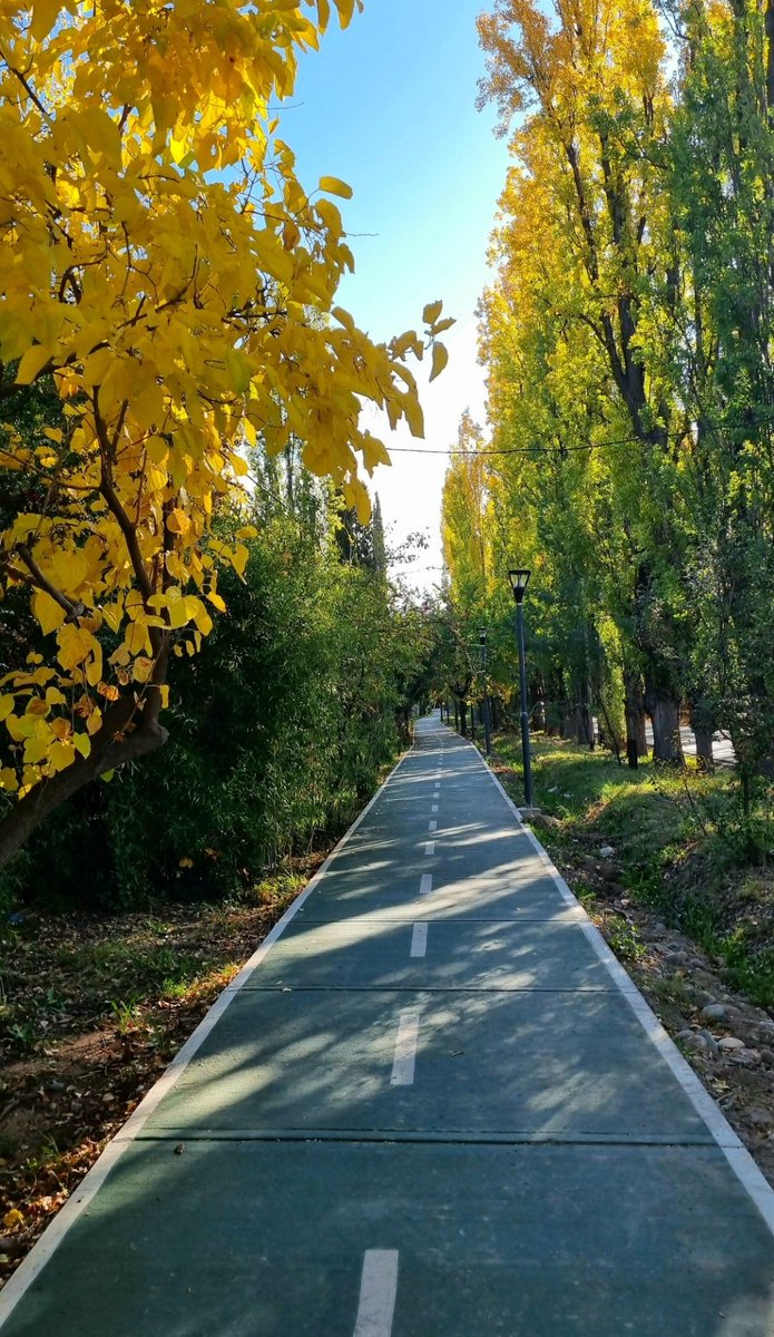 Andar en bici por #Mendoza en otoño... 😍🚴🏻‍♂️