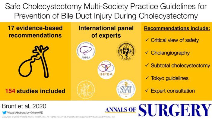 Does #SafeCholecystectory Matter To @RCSnews ? #LapChole  @TMitchellFRCS @NHSEnglandNMD @MarkCheetham @SurgeryHPB @BrennanSurgeon @asgbi @Augishealth @ASiTofficial @roux_group @bbugssuk @NHSGIRFT @NHSResolution @NHSE_WTE @TheBMA @DrRosena @AvMAuk @BJSurgery @AnnalsofSurgery