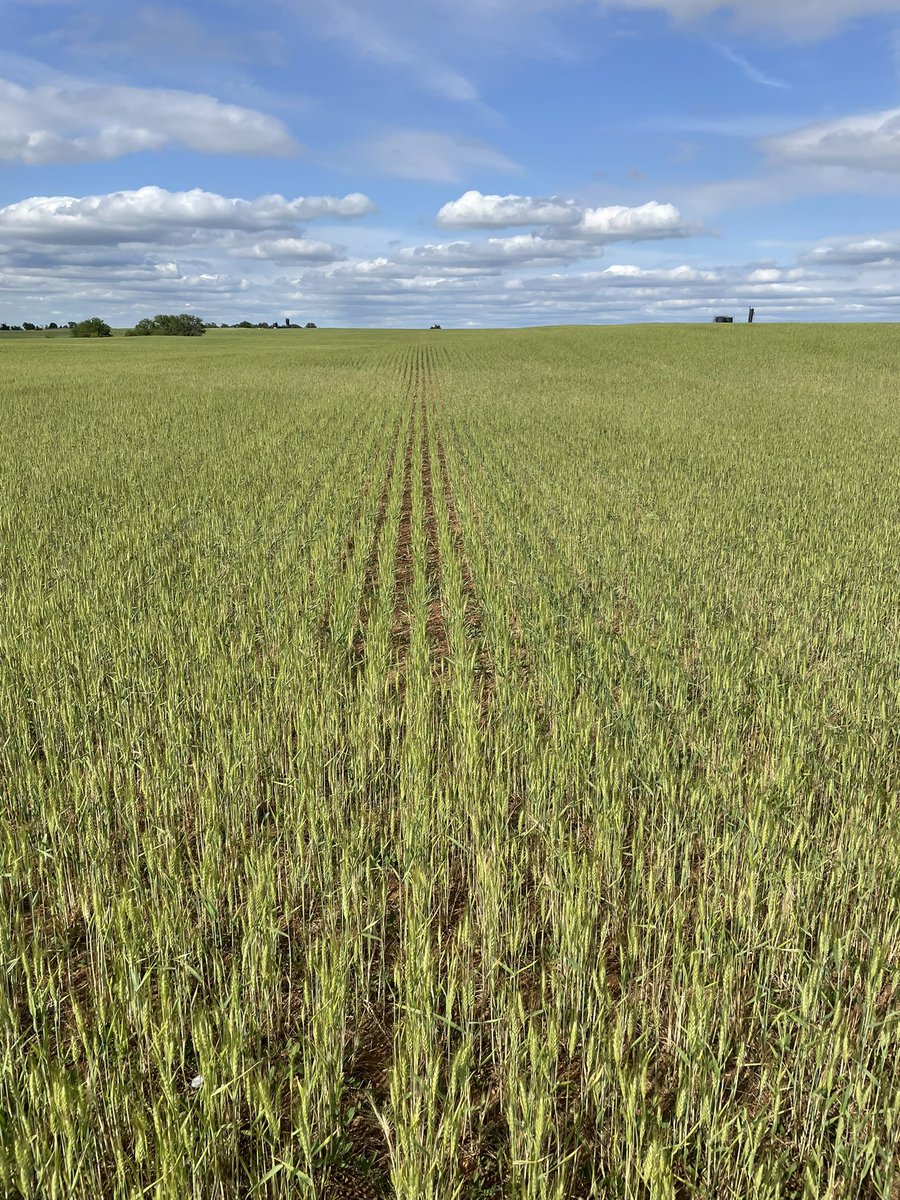 Cascade Commodity Consulting, LLC tweet media