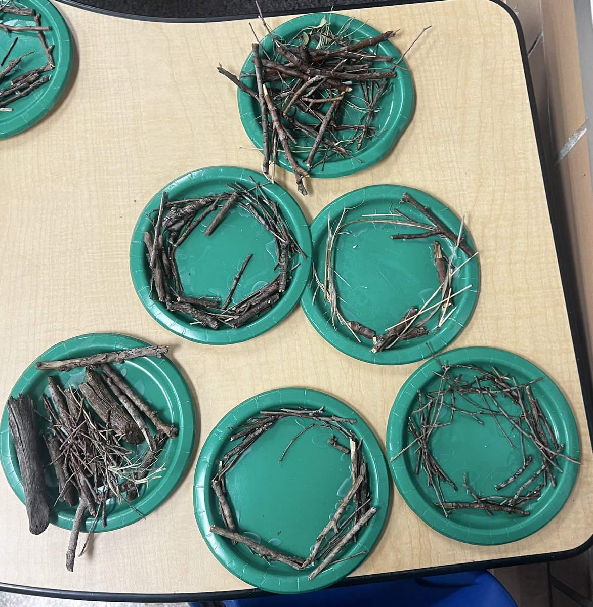 These are the beautiful bird nests that my scholars made with the materials they collected! 🐦 🪹 @ZavalaMagnet @ECISD_EarlyEd