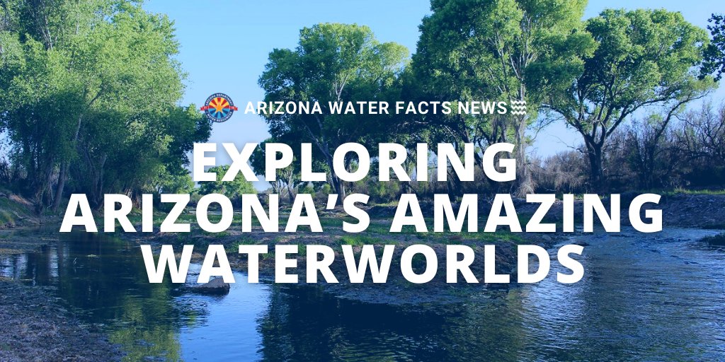 #Arizona’s riparian areas and wetlands are among the most biologically diverse ecosystems on earth! Learn more @ ow.ly/M2Ey50Rwm8l #AmericanWetlandsMonth